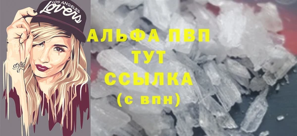 трава Белокуриха