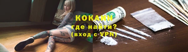 трава Белокуриха