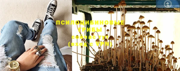 apvp Баксан