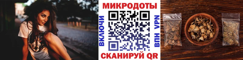 Псилоцибиновые грибы Cubensis  купить наркотик  Невель 